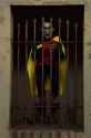 robin_in_a_cage_by_floresfabrications-d5ql35c[1].jpg