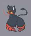 Litten28.png
