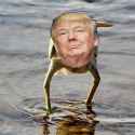 Cant_Fucking_Stump_The_Trump.jpg