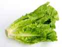 Romaine-Lettuce-Photos.jpg