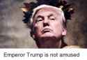 emperor-trump-is-not-amused-1149171.png