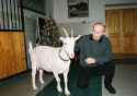 vladimir_putin_with_animals_12.jpg