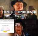 trump election night final.jpg