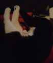 20161108_022852.jpg