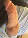 IMG_2277.jpg
