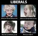 liberals2.jpg