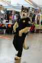 Furfagsuit.jpg