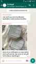 IMG-20161110-WA0000.jpg
