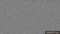 Random_1_El_inicio.gif