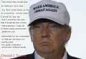 Trump - make America great again fl.jpg