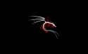 linux-backtrack-dragon-wallpaper.png