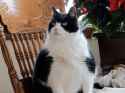 Fatty (149).jpg