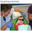 burymeintheseshades.jpg