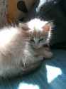 IMG-20161111-WA0001.jpg