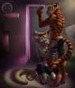 1460153071.tigerinspace_com_kinieltigerbj_zoo.jpg