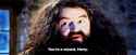 yer.gif