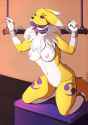 Furry Yiffy Renamon_1476380483.spinal22_renamon_res.jpg