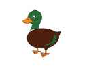 duck.png