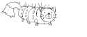 CATerpillar.png