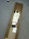 cat2513.jpg