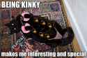 kinkycat.jpg