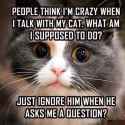 Shhh, the cat's talking.jpg