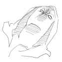 sidhe.png