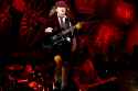 ACDC.jpg