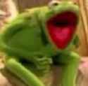 kermit.png