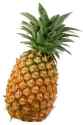 anana1.jpg
