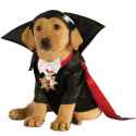 dogdracula.jpg