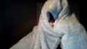 WIN_20160920_154116.jpg