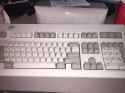 Model M.jpg