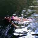 nop 2384800118_n.jpg