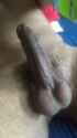 IMAG0443.jpg