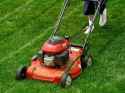 lawn-mower_17497_600x450.jpg