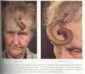 horn-people3.jpg