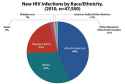 statistics_basics_new_infections_by_race_525x355.jpg