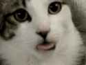 9153577.gif