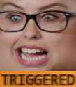 triggered2.jpg