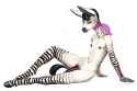 zebraboi.jpg
