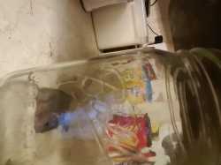 20161113_191426.jpg