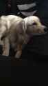 CoivuzmVMAEOgUI.jpg