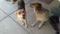 20160820_122114.jpg