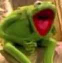 kekkermit.jpg