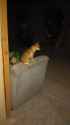 IMAG0066.jpg