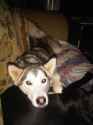 IMG00577-20101205-1445.jpg