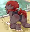 Weavile19.jpg