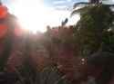 IMG_20130914_180358.jpg