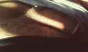 Screenshot_2015-09-06-05-54-06-1~01~01.jpg